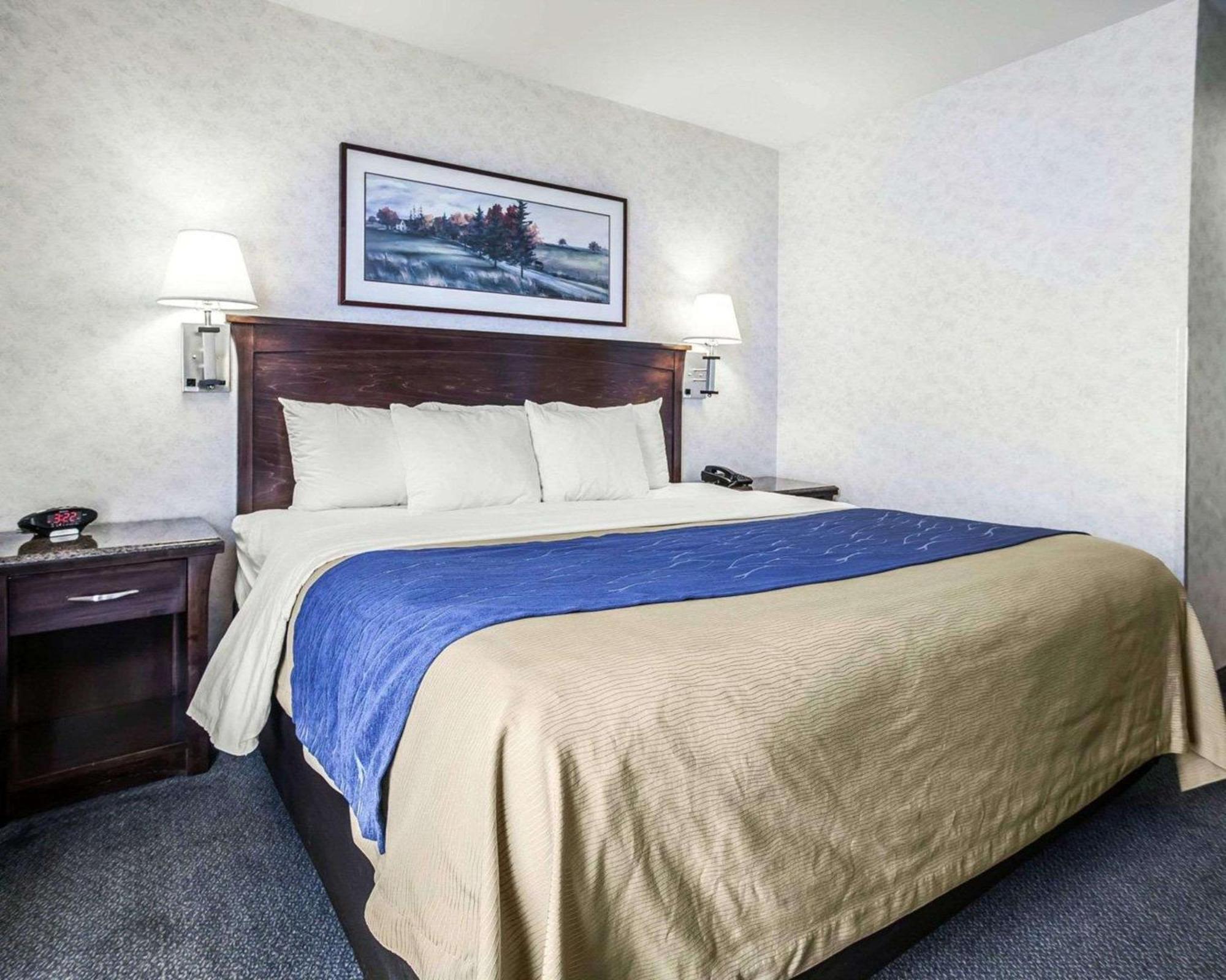 Comfort Inn Белингам Екстериор снимка