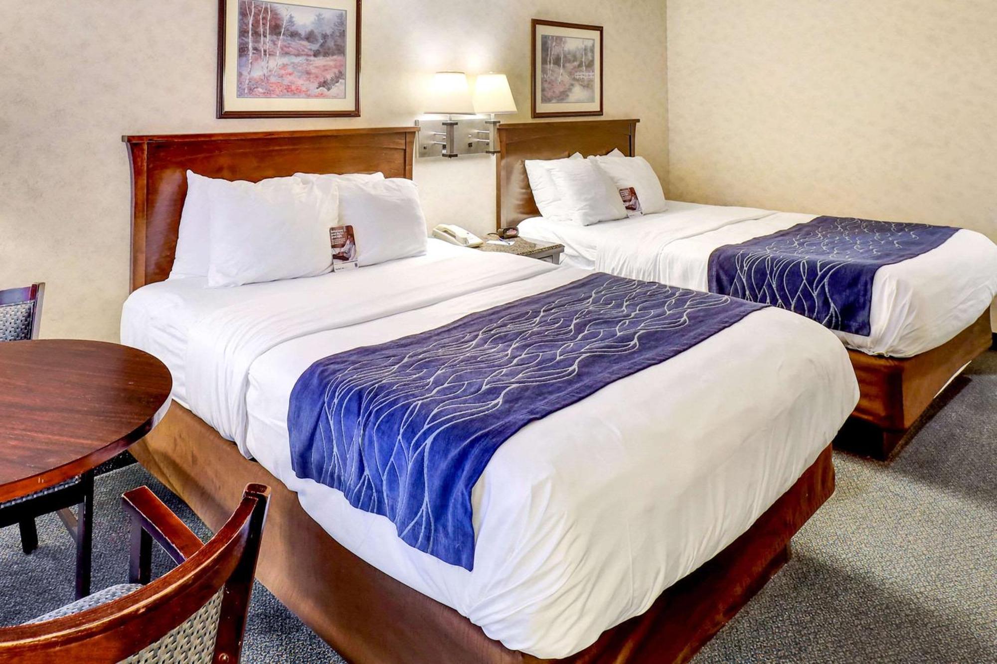 Comfort Inn Белингам Екстериор снимка