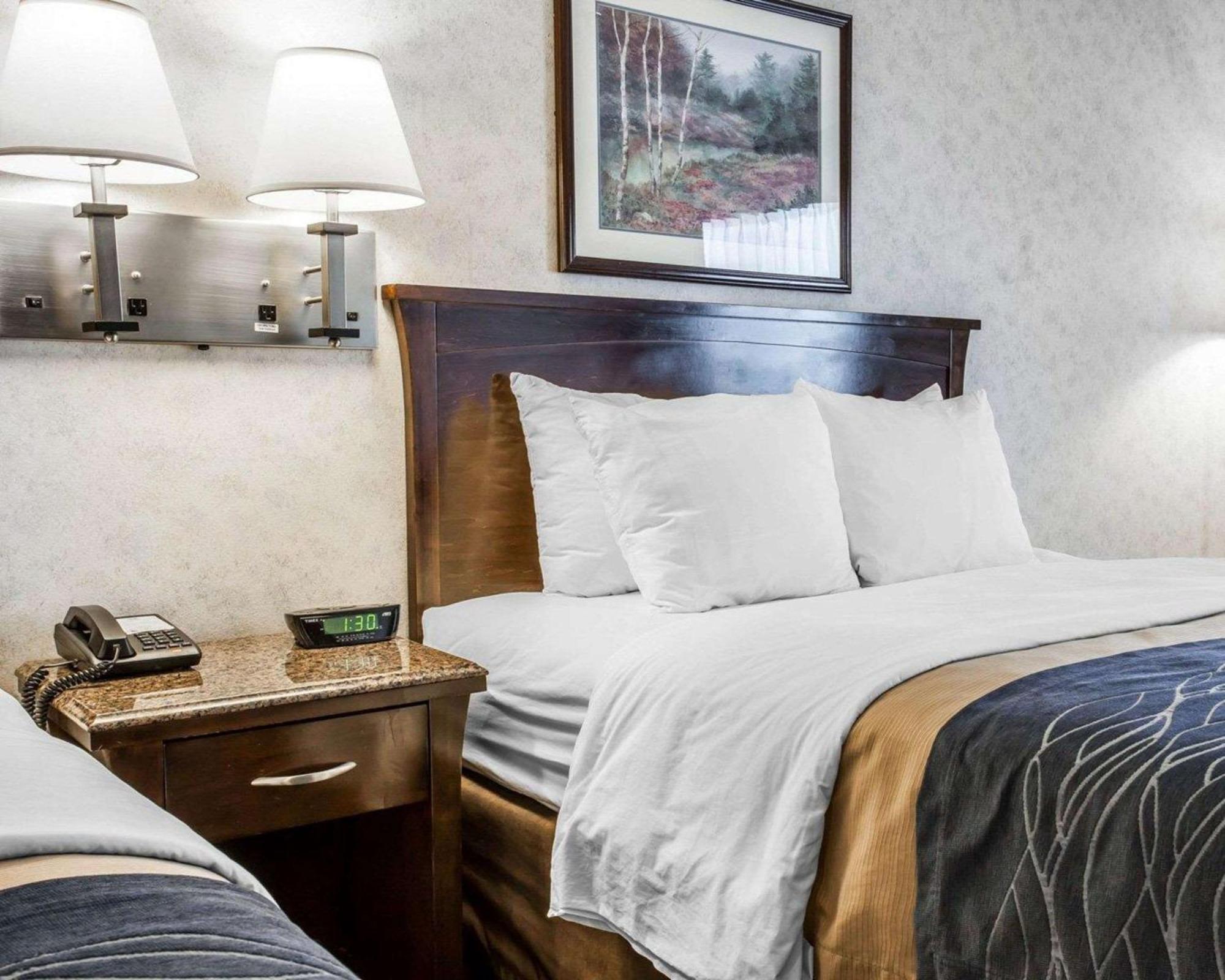Comfort Inn Белингам Екстериор снимка